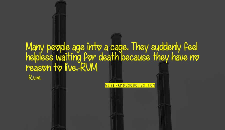 Nf Twitter Quotes By R.v.m.: Many people age into a cage. They suddenly