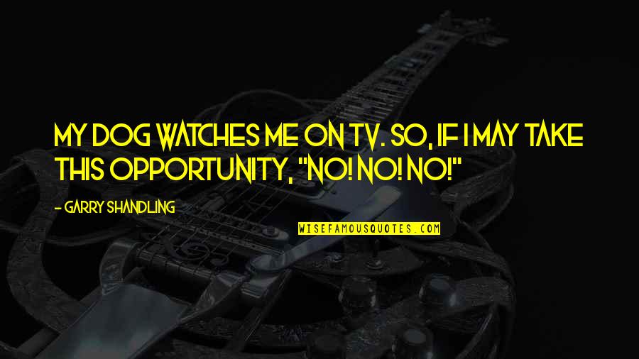 Nfbk Quotes By Garry Shandling: My dog watches me on TV. So, if
