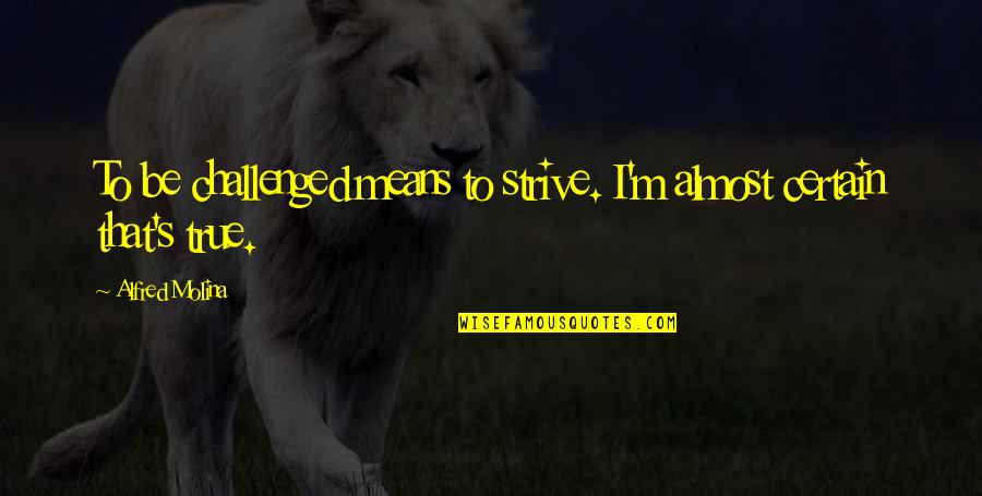 Nfuzr Quotes By Alfred Molina: To be challenged means to strive. I'm almost