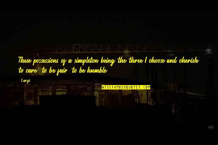 Ngamvn Quotes By Laozi: These possessions of a simpleton being the three