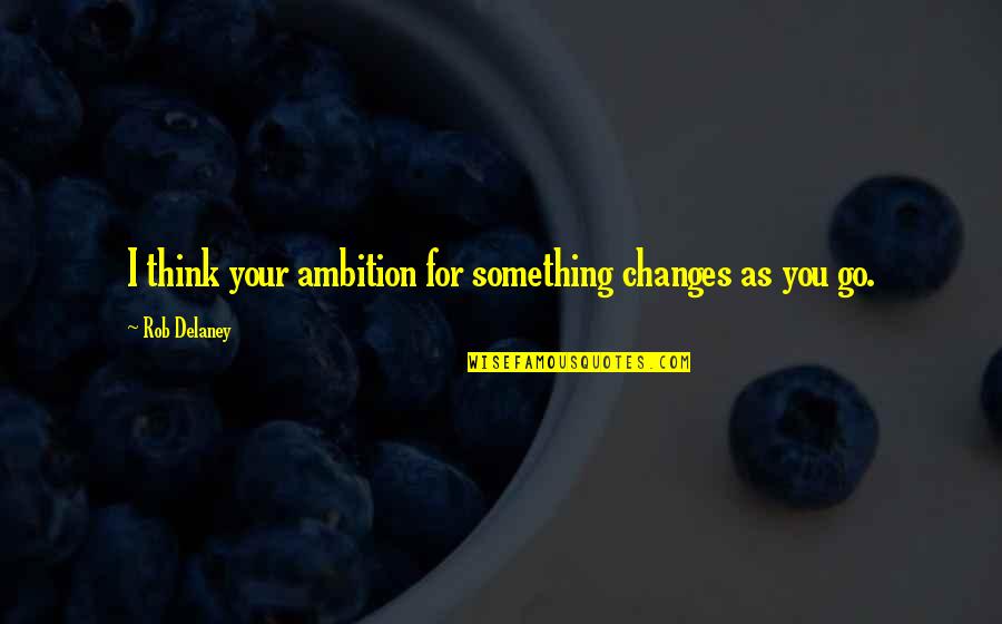 Ngaoluinn Quotes By Rob Delaney: I think your ambition for something changes as
