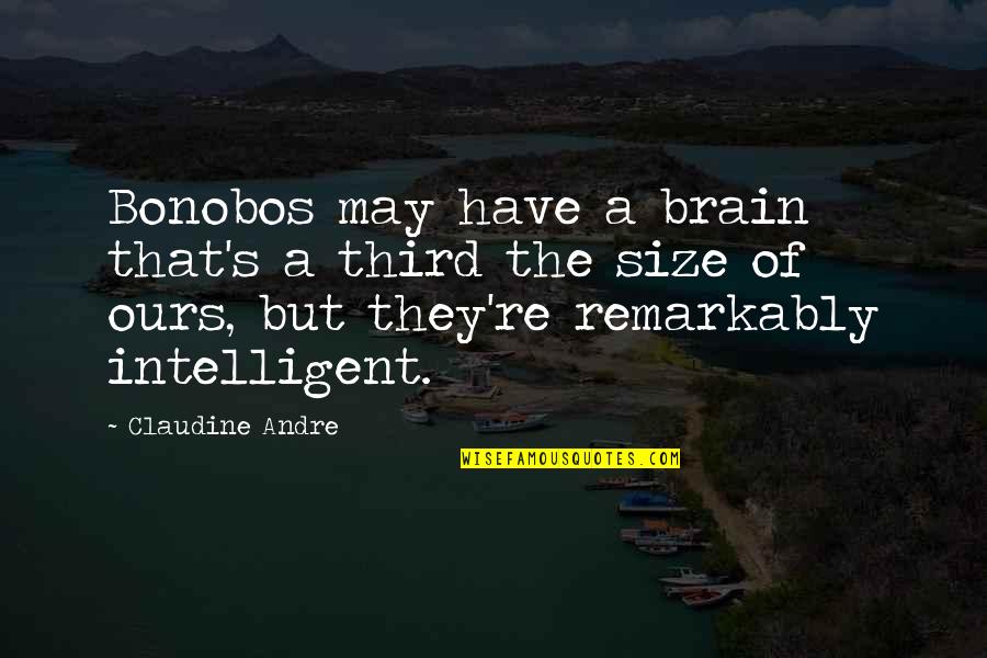 Ngayong Nandito Quotes By Claudine Andre: Bonobos may have a brain that's a third Ngayong Nandito Quotes By Claudine Andre: Bonobos may have a brain that's a third