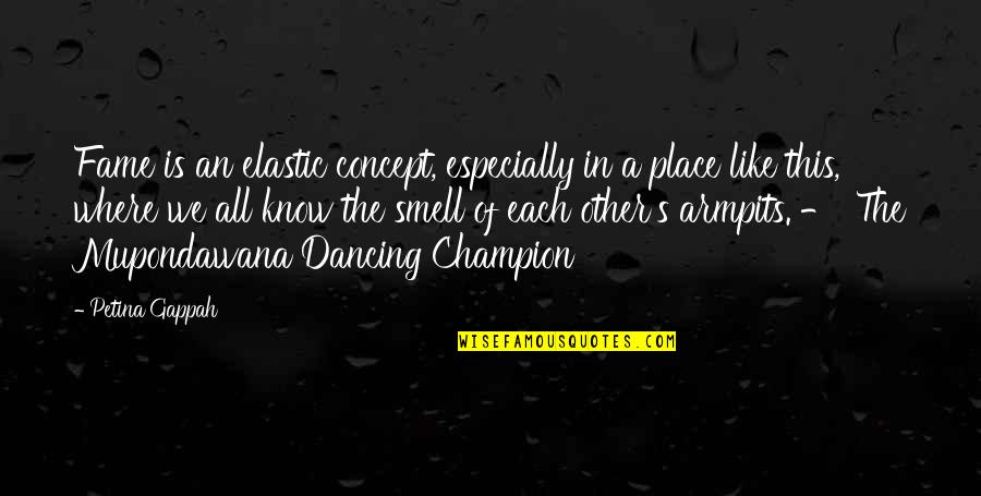 Nghima Quotes By Petina Gappah: Fame is an elastic concept, especially in a