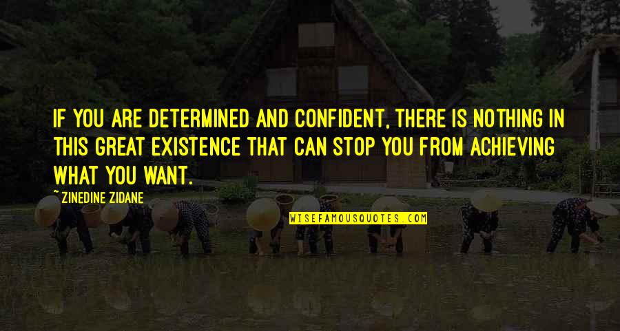 Ngos Forum Quotes By Zinedine Zidane: If you are determined and confident, there is