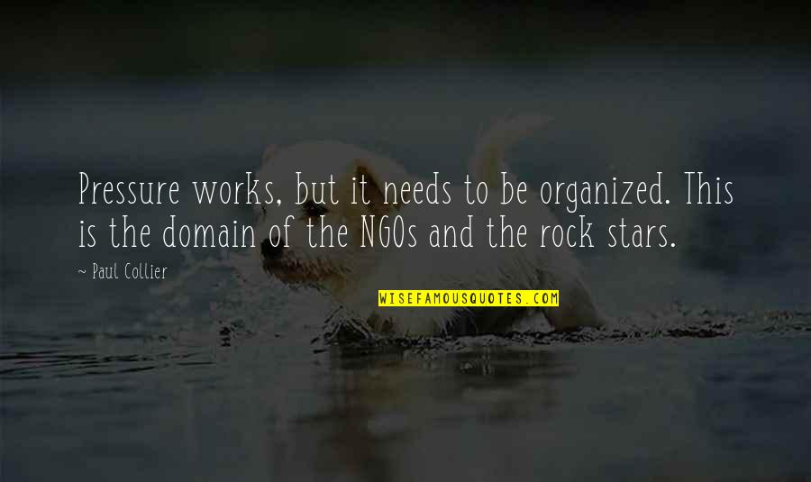 Ngos Quotes By Paul Collier: Pressure works, but it needs to be organized.