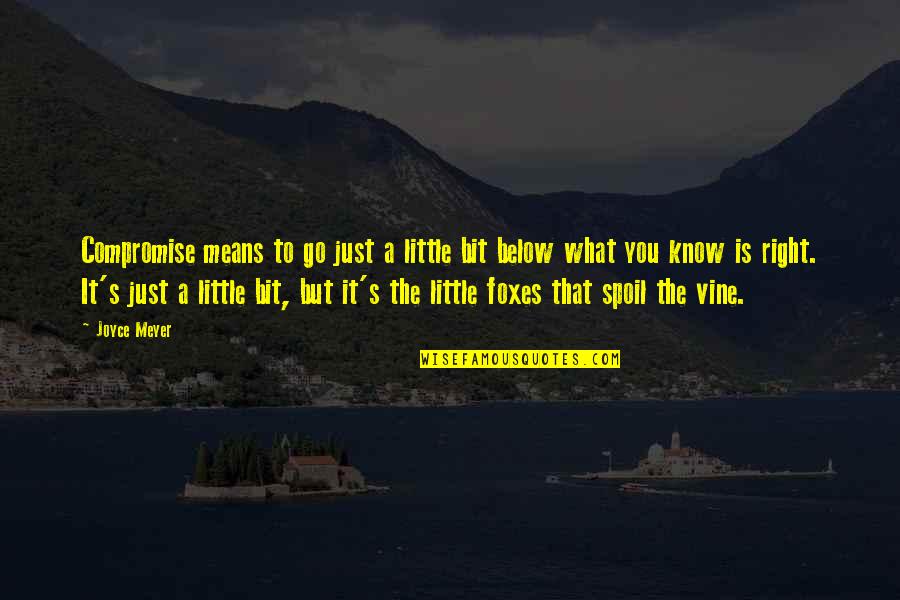 Ngotot Quotes By Joyce Meyer: Compromise means to go just a little bit Ngotot Quotes By Joyce Meyer: Compromise means to go just a little bit