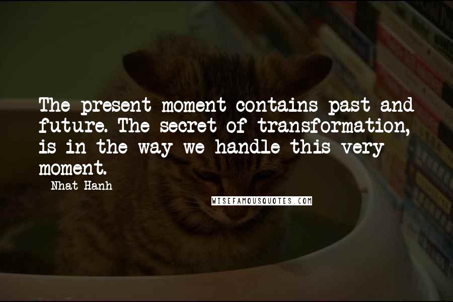 Nhat Hanh quotes: The present moment contains past and future. The secret of transformation, is in the way we handle this very moment.