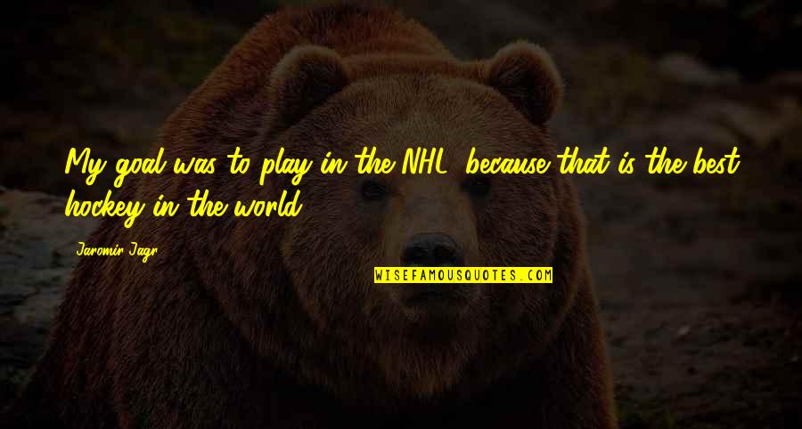 Nhl Hockey Quotes By Jaromir Jagr: My goal was to play in the NHL,