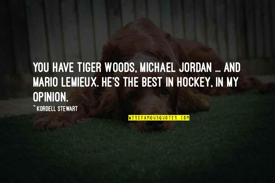 Nhl Hockey Quotes By Kordell Stewart: You have Tiger Woods, Michael Jordan ... and