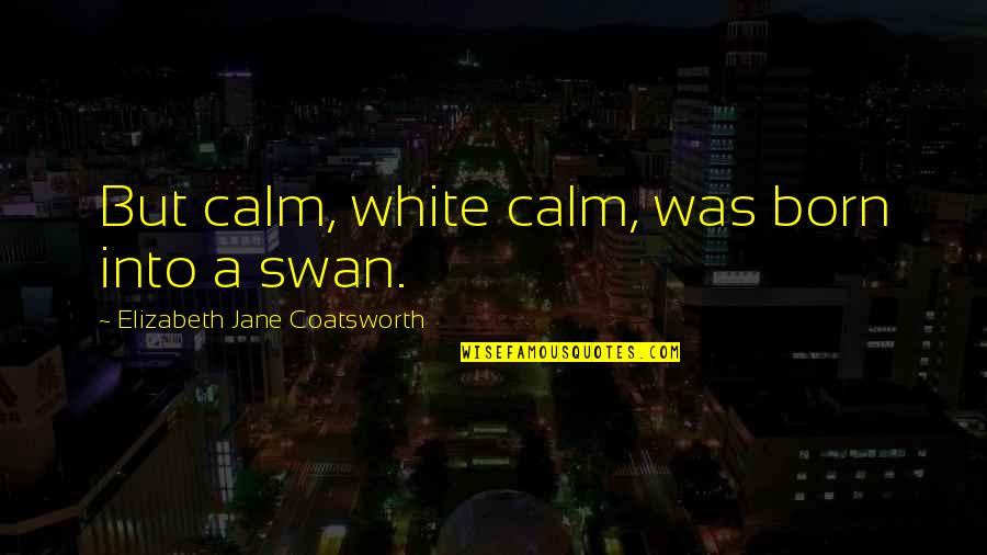 Niagaras Quotes By Elizabeth Jane Coatsworth: But calm, white calm, was born into a