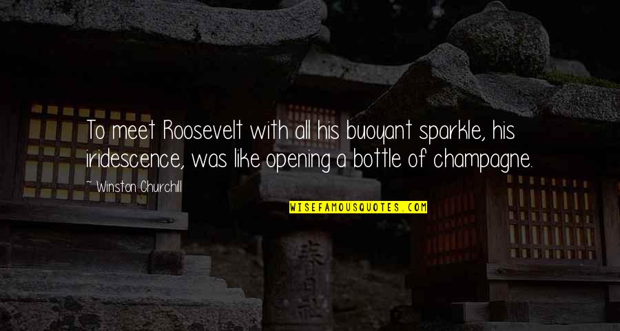 Niarchos Quotes By Winston Churchill: To meet Roosevelt with all his buoyant sparkle,