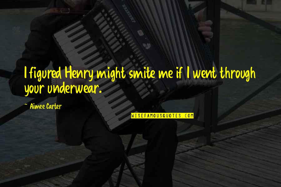 Nibbana The Landing Quotes By Aimee Carter: I figured Henry might smite me if I