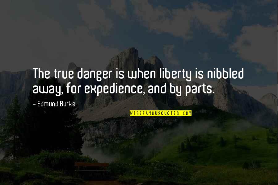 Nibbled Quotes By Edmund Burke: The true danger is when liberty is nibbled