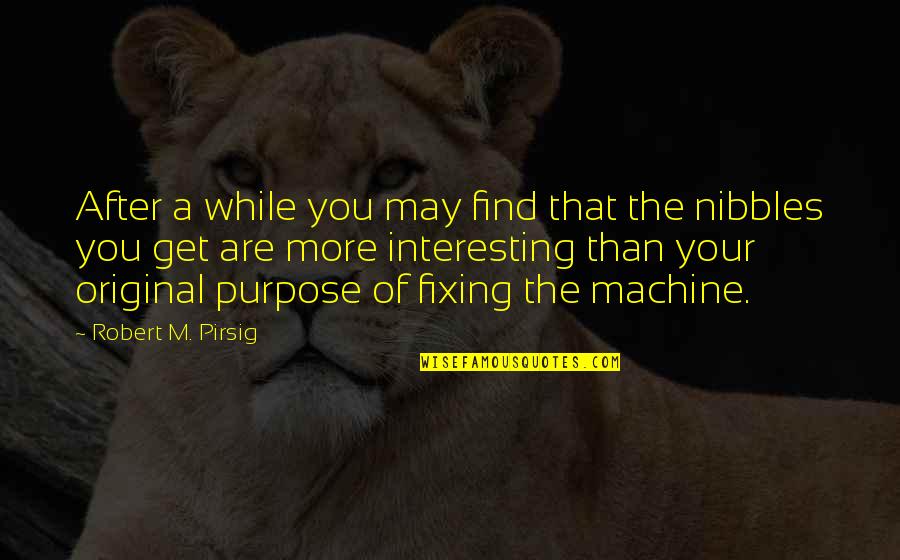 Nibbles Quotes By Robert M. Pirsig: After a while you may find that the