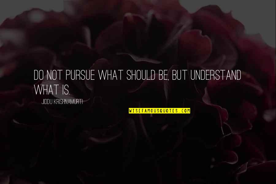 Nicchia In Inglese Quotes By Jiddu Krishnamurti: Do not pursue what should be, but understand Nicchia In Inglese Quotes By Jiddu Krishnamurti: Do not pursue what should be, but understand
