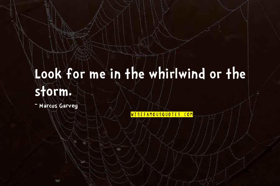 Nice Alzheimers Quotes By Marcus Garvey: Look for me in the whirlwind or the