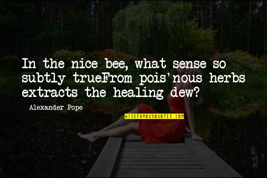 Nice And True Quotes By Alexander Pope: In the nice bee, what sense so subtly