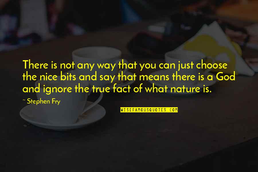 Nice And True Quotes By Stephen Fry: There is not any way that you can