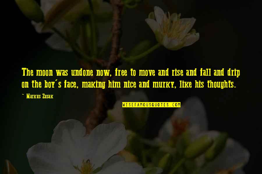 Nice Boy Quotes By Markus Zusak: The moon was undone now, free to move