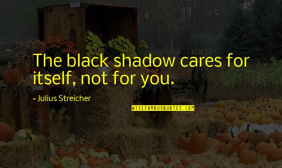 Nice Hips Quotes By Julius Streicher: The black shadow cares for itself, not for