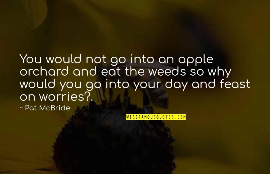 Nice Inspiring Quotes By Pat McBride: You would not go into an apple orchard
