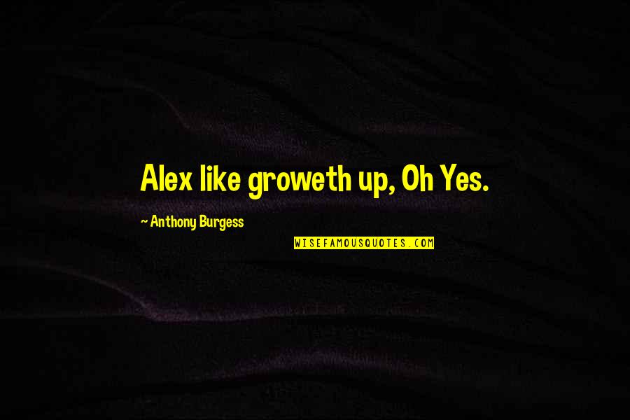 Nice Short And Sweet Quotes By Anthony Burgess: Alex like groweth up, Oh Yes.