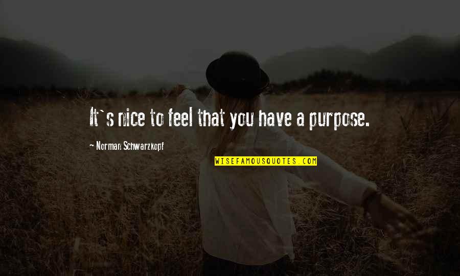 Nice To You Quotes By Norman Schwarzkopf: It's nice to feel that you have a Nice To You Quotes By Norman Schwarzkopf: It's nice to feel that you have a
