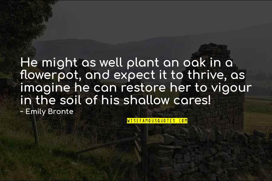 Nichaman Quotes By Emily Bronte: He might as well plant an oak in Nichaman Quotes By Emily Bronte: He might as well plant an oak in