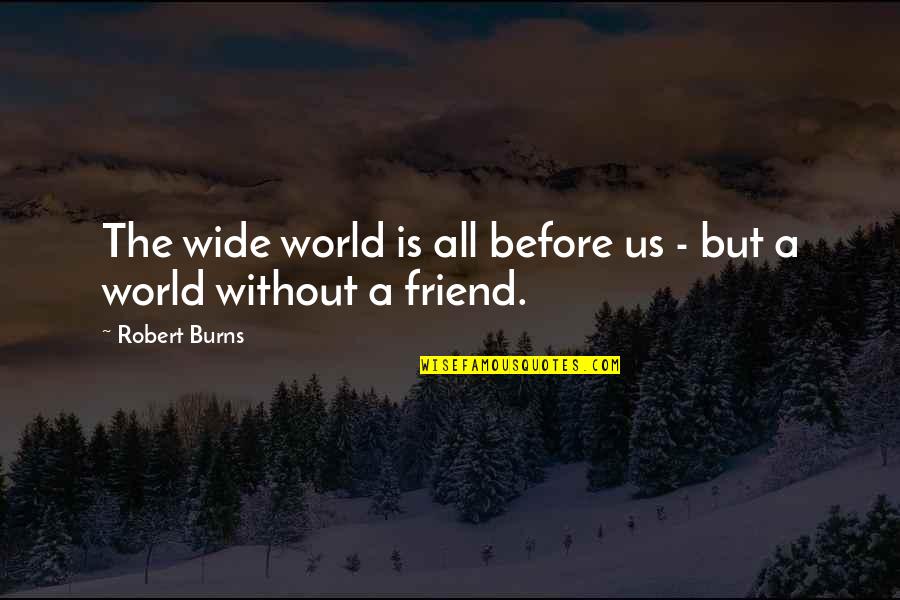 Nichiha Wall Quotes By Robert Burns: The wide world is all before us -
