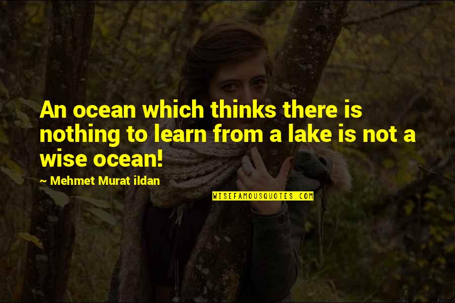 Nicholas County Wv Quotes By Mehmet Murat Ildan: An ocean which thinks there is nothing to Nicholas County Wv Quotes By Mehmet Murat Ildan: An ocean which thinks there is nothing to