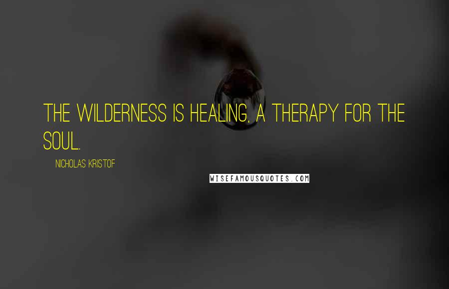 Nicholas Kristof quotes: The wilderness is healing, a therapy for the soul.