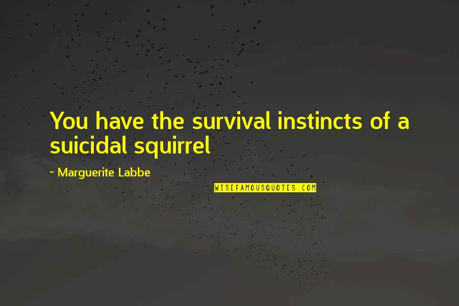 Nicholas Lash Quotes By Marguerite Labbe: You have the survival instincts of a suicidal