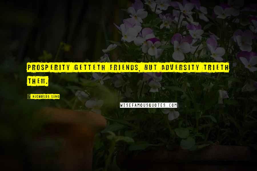 Nicholas Ling quotes: Prosperity getteth friends, but adversity trieth them.