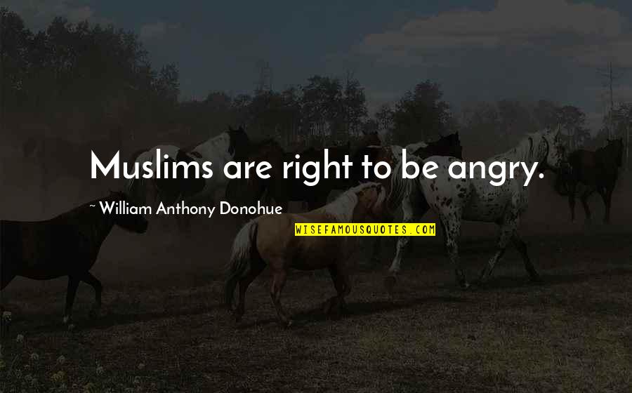 Nicholas Montemarano Quotes By William Anthony Donohue: Muslims are right to be angry.