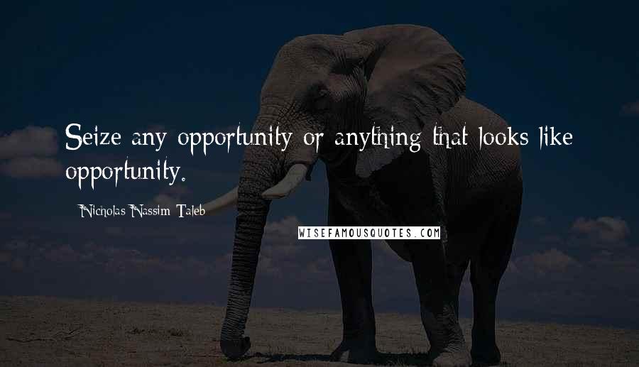 Nicholas Nassim Taleb quotes: Seize any opportunity or anything that looks like opportunity.