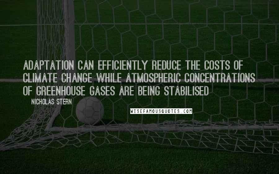 Nicholas Stern quotes: Adaptation can efficiently reduce the costs of climate change while atmospheric concentrations of greenhouse gases are being stabilised