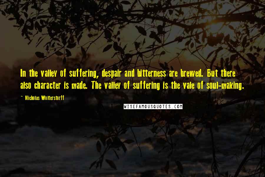 Nicholas Wolterstorff quotes: In the valley of suffering, despair and bitterness are brewed. But there also character is made. The valley of suffering is the vale of soul-making.