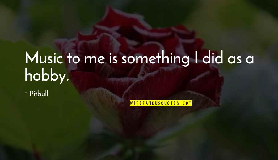 Niciodata Gabriel Quotes By Pitbull: Music to me is something I did as