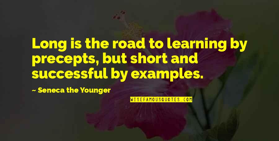 Niciodata Niciodata Adrian Quotes By Seneca The Younger: Long is the road to learning by precepts,