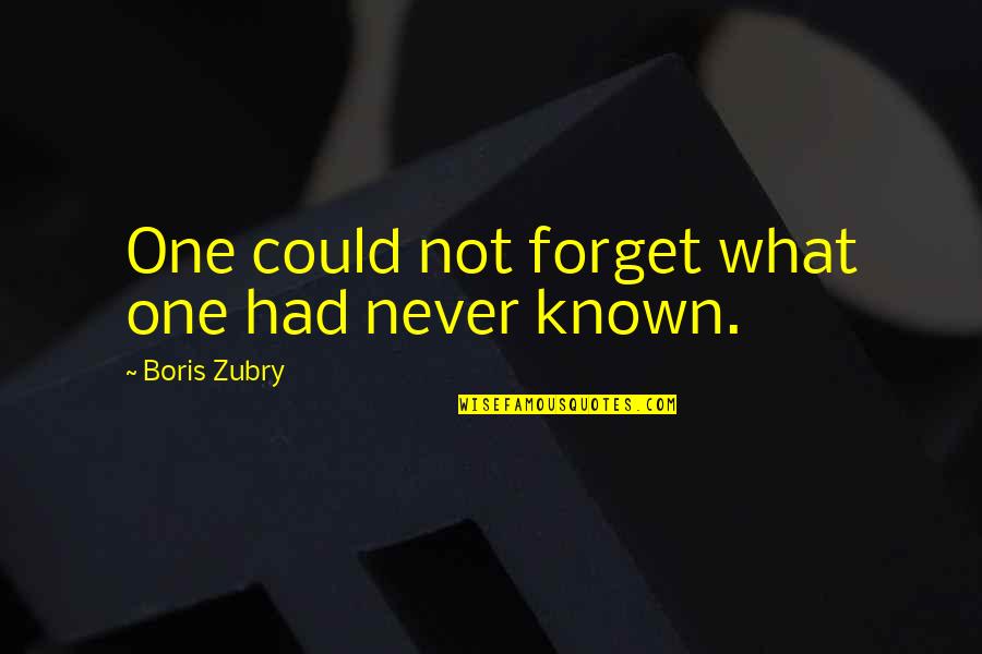 Nick Aldis Quotes By Boris Zubry: One could not forget what one had never Nick Aldis Quotes By Boris Zubry: One could not forget what one had never