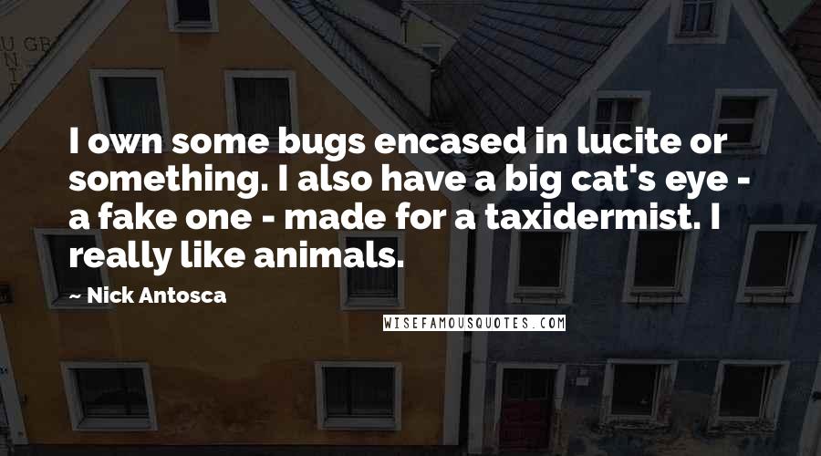 Nick Antosca quotes: I own some bugs encased in lucite or something. I also have a big cat's eye - a fake one - made for a taxidermist. I really like animals.
