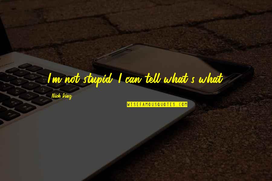Nick Diaz Quotes By Nick Diaz: I'm not stupid. I can tell what's what. Nick Diaz Quotes By Nick Diaz: I'm not stupid. I can tell what's what.