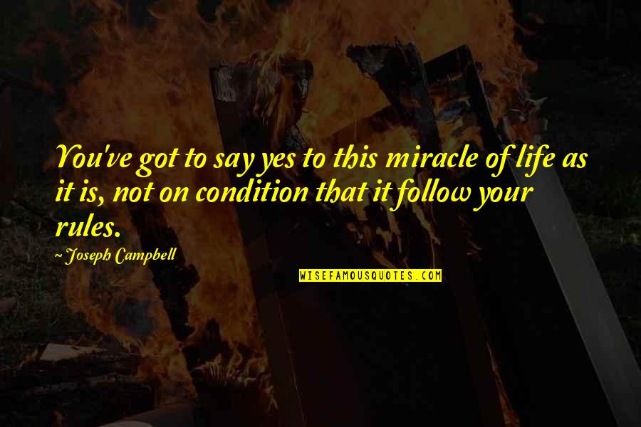 Nick Gleason Quotes By Joseph Campbell: You've got to say yes to this miracle Nick Gleason Quotes By Joseph Campbell: You've got to say yes to this miracle