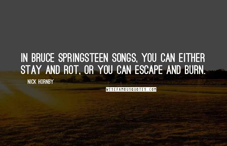 Nick Hornby quotes: In Bruce Springsteen songs, you can either stay and rot, or you can escape and burn.