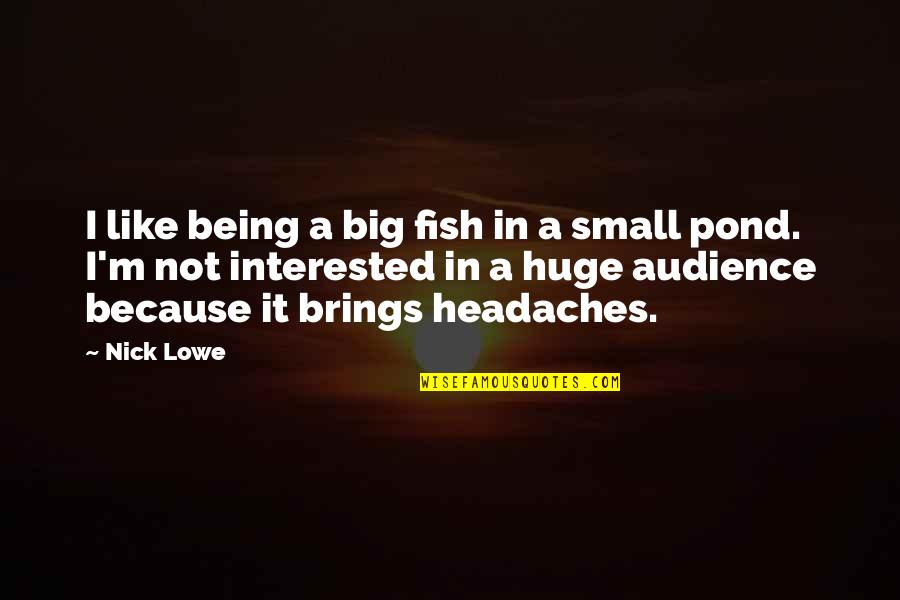 Nick Lowe Quotes By Nick Lowe: I like being a big fish in a