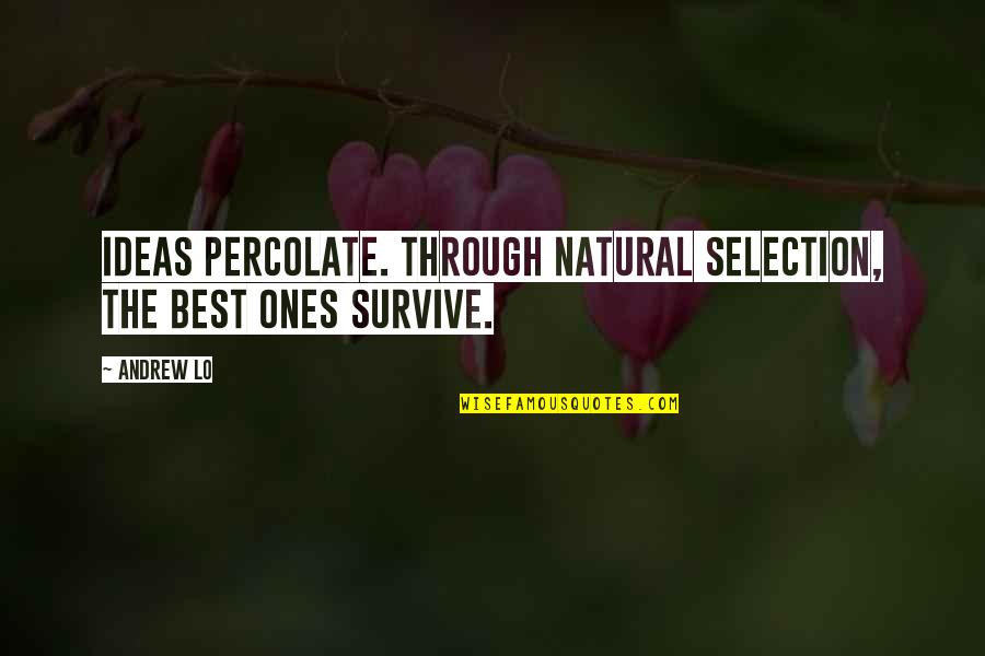 Nick Ramos Quotes By Andrew Lo: Ideas percolate. Through natural selection, the best ones
