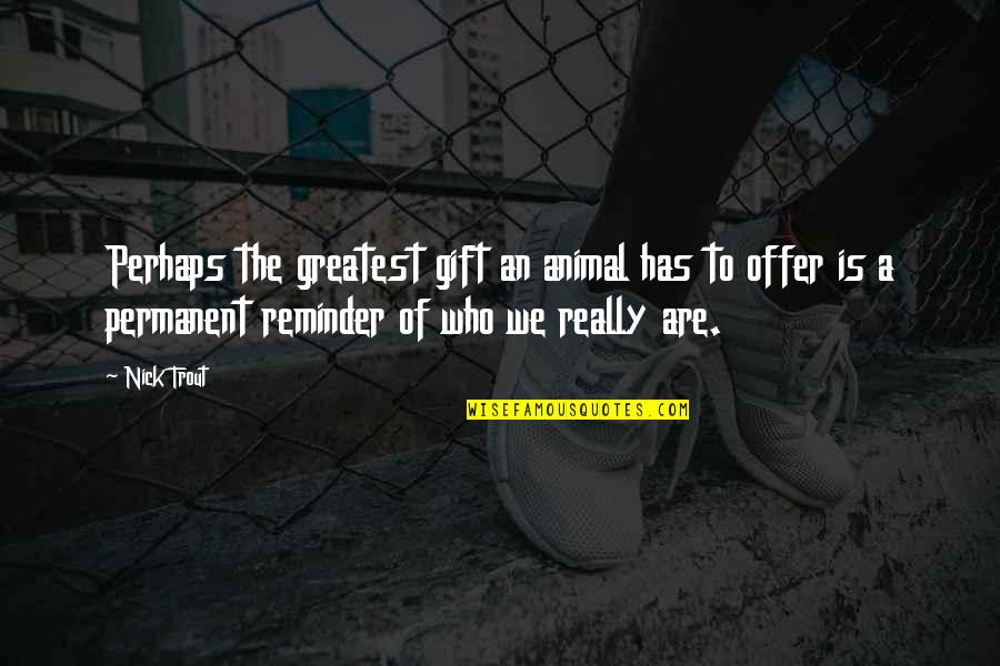 Nick Trout Quotes By Nick Trout: Perhaps the greatest gift an animal has to