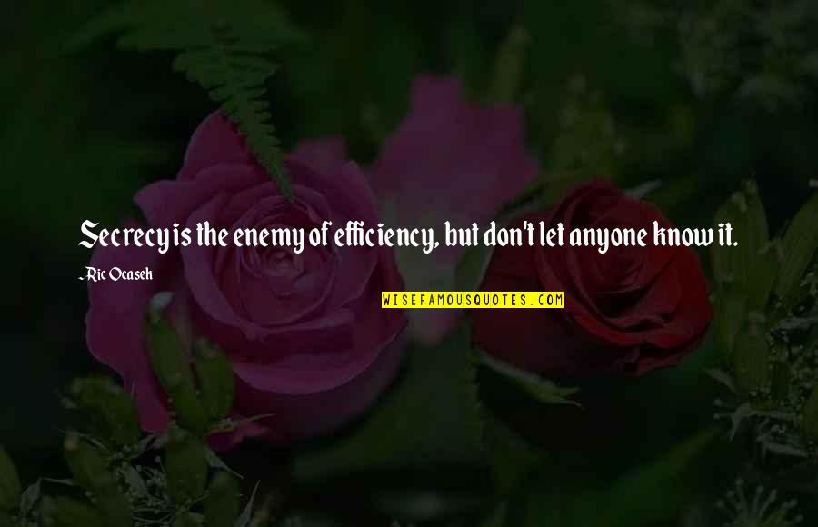 Nickleby Dobermans Quotes By Ric Ocasek: Secrecy is the enemy of efficiency, but don't