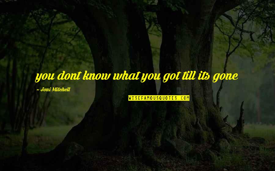 Nicklyns Quotes By Joni Mitchell: you dont know what you got till its
