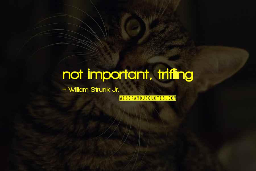 Nicknamed The Powerhouse Quotes By William Strunk Jr.: not important, trifling Nicknamed The Powerhouse Quotes By William Strunk Jr.: not important, trifling